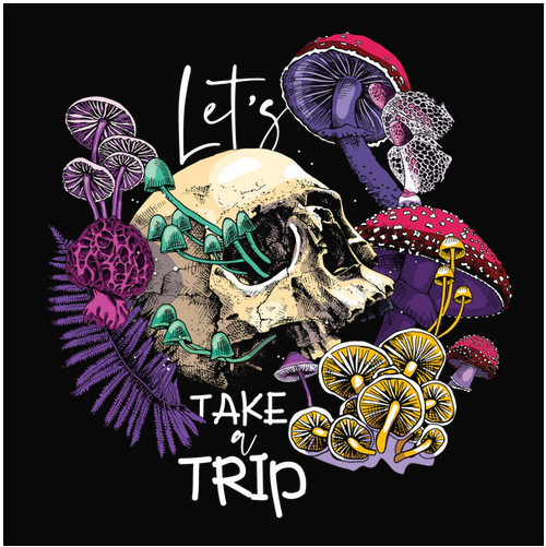 color, Colorful, Crew, Crew Neck, Funny, Humor, mushroom, Skull, tripTake a Trip Tee from FineRag.comfinerag.com