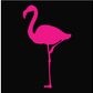 Animal, Animals, Bird, Birds, Endangered animal, flamingo, pink, Protected animal, Tee, Wild animal, Woman's, Women'sFlamingo Tee from FineRag.comfinerag.com