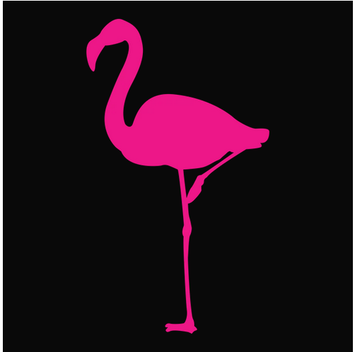 Animal, Animals, Bird, Birds, Endangered animal, flamingo, pink, Protected animal, Tee, Wild animal, Woman's, Women'sFlamingo Tee from FineRag.comfinerag.com