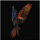 Abstract, Animal, Animals, Bird, Birds, color, Colorful, fly, parrot, Wild animal, zooParrot Flight Tee from FineRag.comfinerag.com