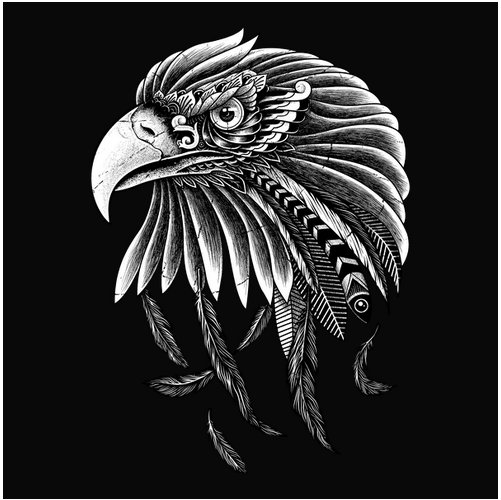 American Flag, Animal, Animals, Bird, Birds, black & white, Eagle, Endangered animal, Flag, ornate, prey, Protected animal, US Flag, Wild animalEagle Ornate Tee from FineRag.comfinerag.com