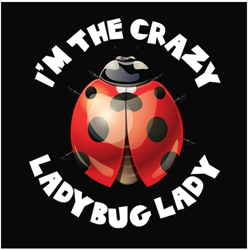 Bugs, Crew, Crew Neck, Insect, Ladybug, Outdoor, Outdoors, Tee, V Neck, Woman's, Women'sLadybug Lady Tee from FineRag.comfinerag.com