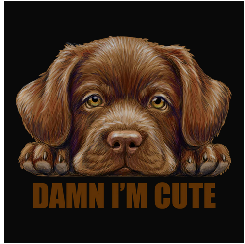 Animal, Animals, Crew, Crew Neck, Cute, Dog, Dogs, Labrador Retriever, Tee, Top dog, Woman's, Women's, wordsDamn I'm Cute Tee from FineRag.comfinerag.com