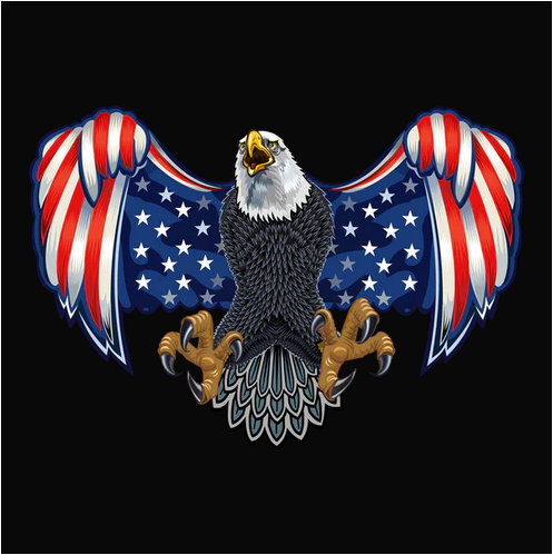 American Flag, Animal, Animals, Bird, Birds, Eagle, Endangered animal, Flag, prey, Protected animal, US Flag, Wild animalEagle Flag Tee from FineRag.comfinerag.com